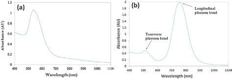 A Typical Plasmon Absorption Spectrum Of Spherical Aunps B Plasmon