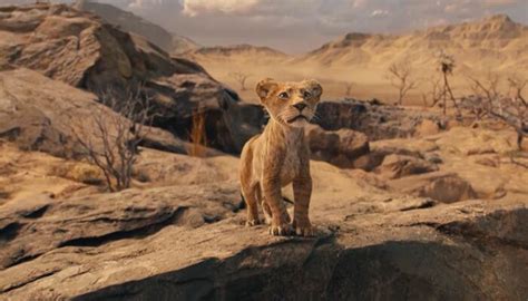 MUFASA THE LION KING 2024 Teaser Trailer Barry Jenkins Prequel