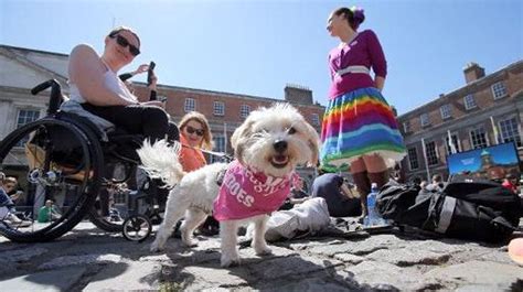 L Irlande dit oui au mariage homosexuel après un référendum