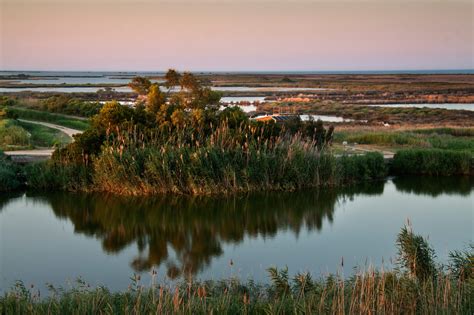 Things To Know About Delta De L Ebre For A Lovely Visit