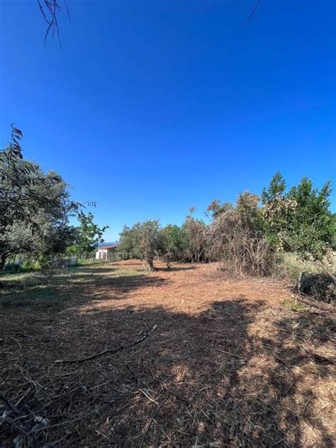 Terreno En Venta En Camino Forestal La Adrada Idealista