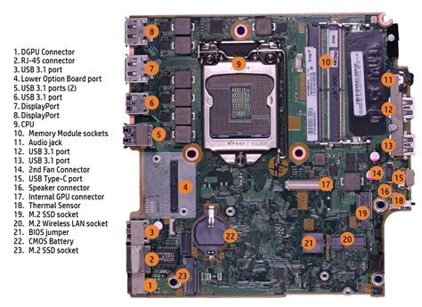 Fujitsu Esprimo D7012 Vs Hp Elitedesk 800 G6 Mini Comparison