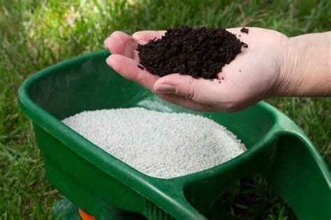 How Often Should I Fertilize My Lawn For The Best Outcome