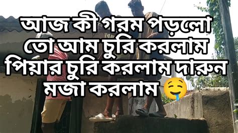 আজ কী গরম পড়লো সেই আনন্দ করলাম আম চুরি করতে গিয়ে কী অবস্থা হলো আমাদের