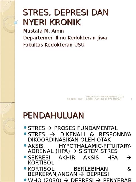 PDF 17 STRES DEPRESI DAN NYERI KRONIK 2003 Ppt DOKUMEN TIPS