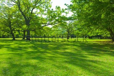 Fototapeta Piękny Zielony Park w kategorii krajobrazy park w muralo pl