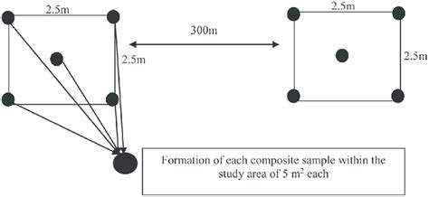 Composite Sample Collection within the Sampling Sites. | Download ...