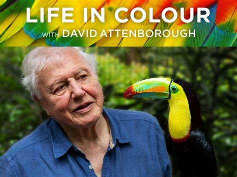 Prime Video: Life in Color With David Attenborough, Season 1