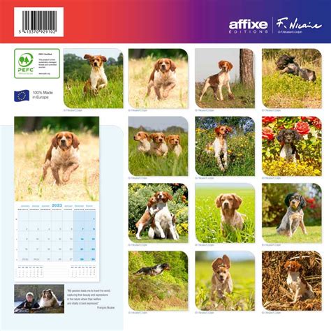 Calendrier Epagneul Breton Tout Chien Le Magazine