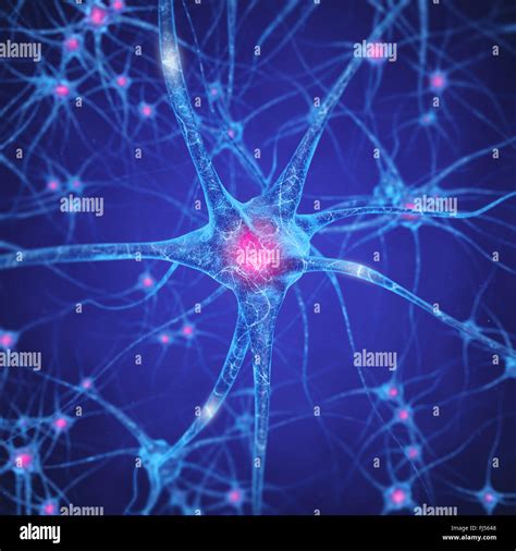 Réseau de neurones les cellules du cerveau humain les neurones du