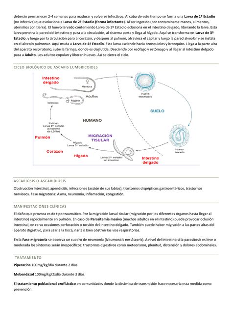 Solution Teoria Parasitologia Parte Microbiologia De Los Alimentos