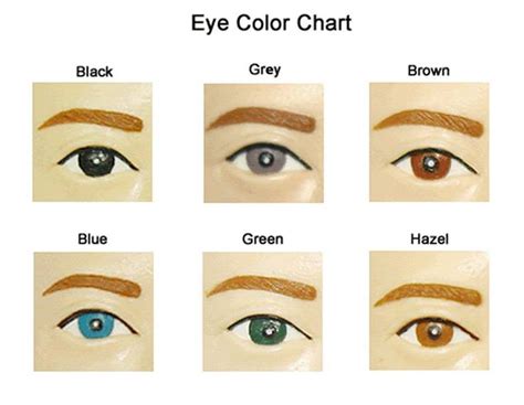 17 Best Ideas About Eye Color Charts On Pinterest Character Description Eye Color Facts And