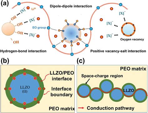 Ionic Conduction In Polymerbased Solid Electrolytes Li