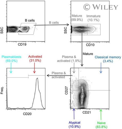 Cd Antibody Percp Efluor