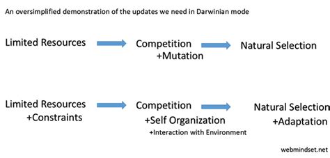 Complex Systems And The Extended Evolutionary Synthesis Webmindset