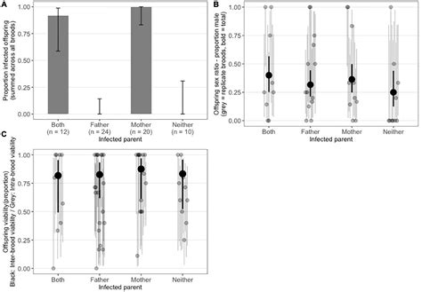 Frontiers Isolation Culture And Characterization Of Arsenophonus