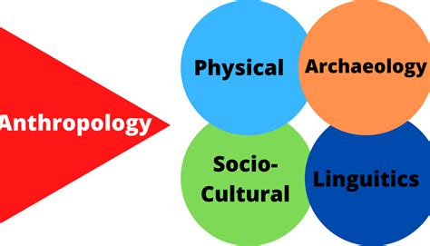 Branches Of Anthropology Anthromania