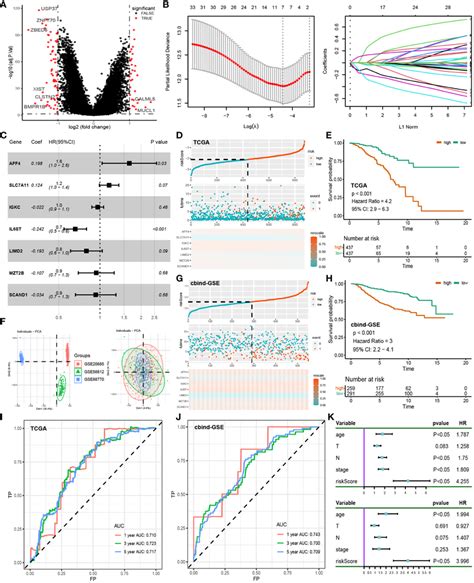 Pathway Enrichment And Immuno Infiltration Analysis A Enrichment