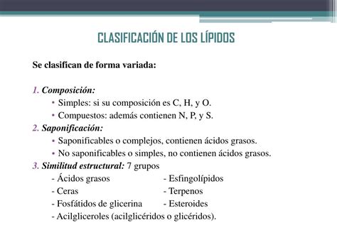 Ppt Estructura Molecular Y Comportamiento De Los L Pidos Powerpoint