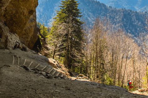 Alum Cave Trail In The Smoky Mountains