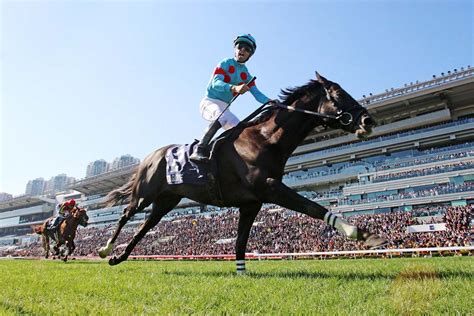 海外名駒獲邀競逐浪琴香港國際賽事 賽馬新聞 香港賽馬會