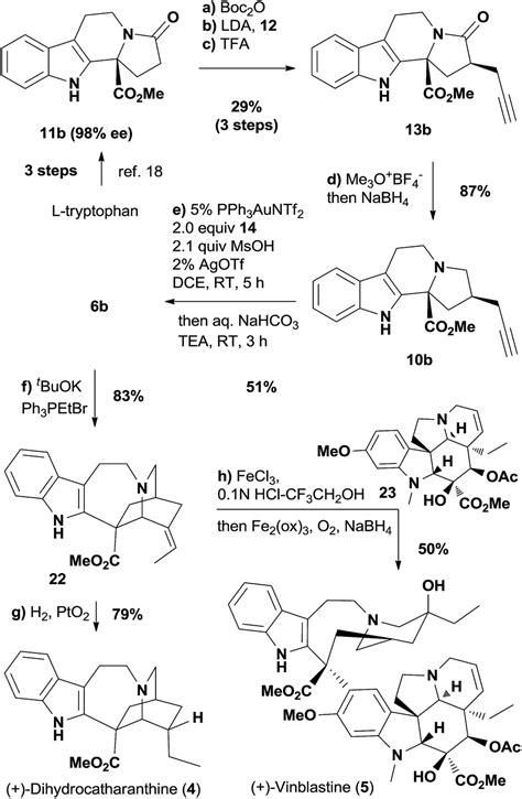 Enantioselective Synthesis Of Iboga Alkaloids And Vinblastine Via