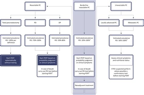 Expert Opinion On Management Of Pancreatic Exocrine Insufficiency In