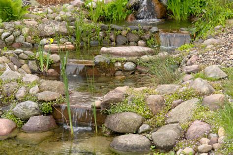 Gartenteich Aus Beton Bauanleitung Tipps