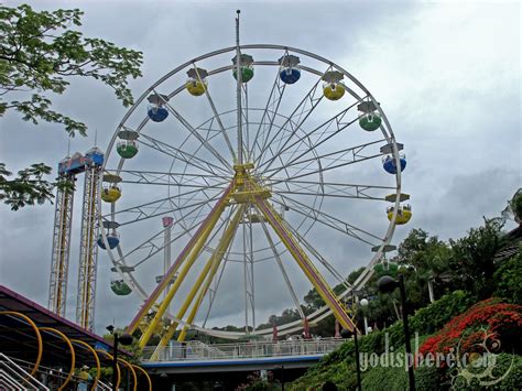 Hong Kong Ocean Park More Than Just A Thrill Seekers Playground