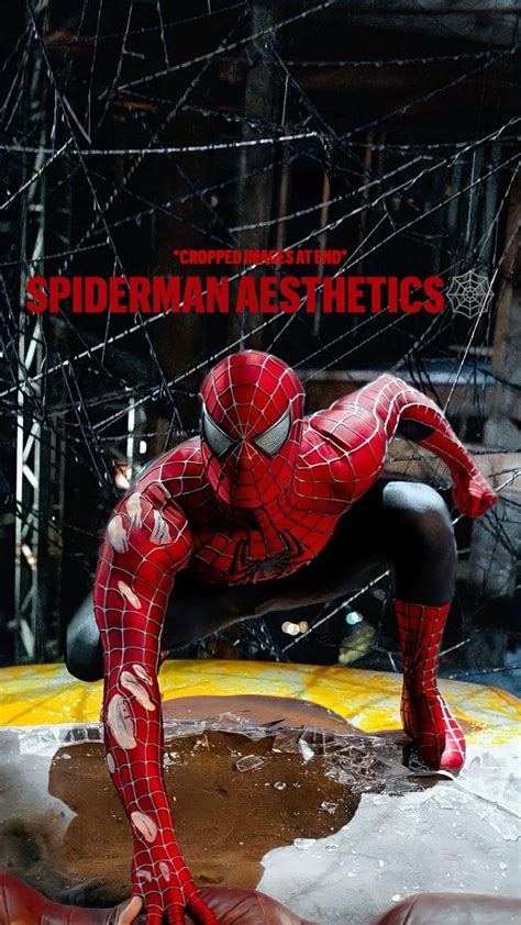 Spiderman Aesthetics Spiderman Marvel Art Amazing Spiderman