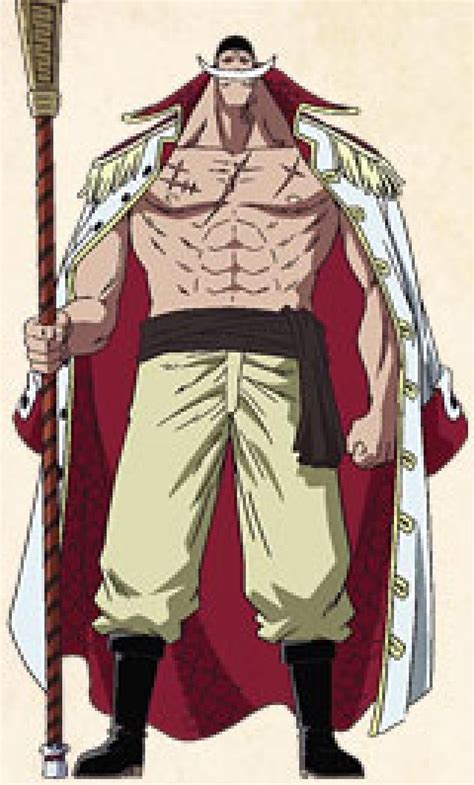 The Strongest Man Alive Em 2020 Personagens De Anime One Piece