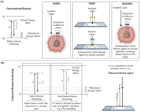 Schematic Representation Of Several Raman Configurations A Download Scientific Diagram