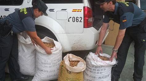 Cae una banda que robó 36 000 kilos de almendras y algarrobas en Valencia