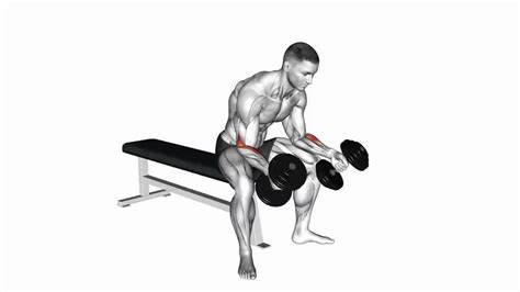 Reverse Barbell Wrist Curl Over Bench