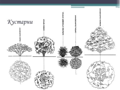 Архитектурная графика - online presentation