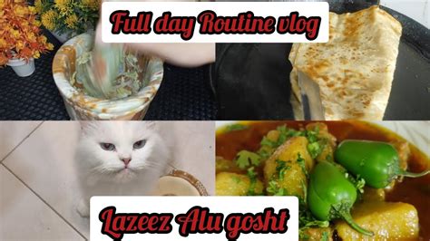 Morning To Evening Routine Vlog Ajj Bana Lazeez Alu Gosht Vlogs With