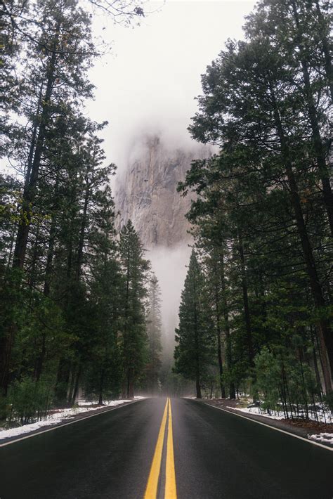 Wallpaper Id 237060 A Tree Lined Mountain Road With Snowcapped