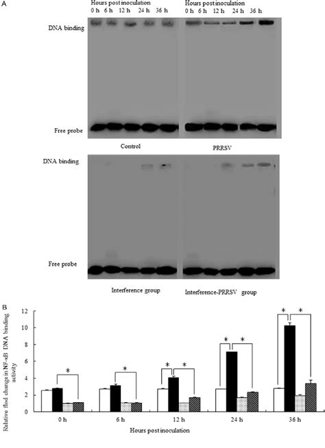 Figure From Prrsv Regulates Cytokine Secretion From Pams Cultured In