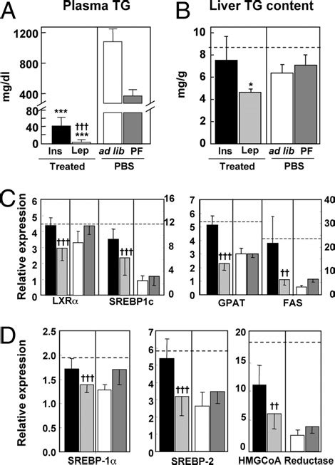 Tg Concentrations In Plasma And Liver And Expression Levels Of