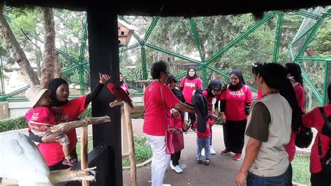 Jagat Satwa Nusantara Langkah 17 Kasih Bersama Yayasan Kasih Anak