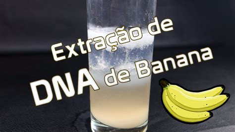 Extra O De Dna De Banana Youtube