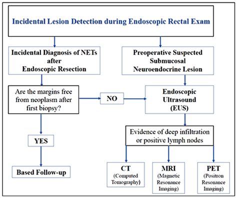 Diagnostics Free Full Text Diagnosis And Management Of Rectal