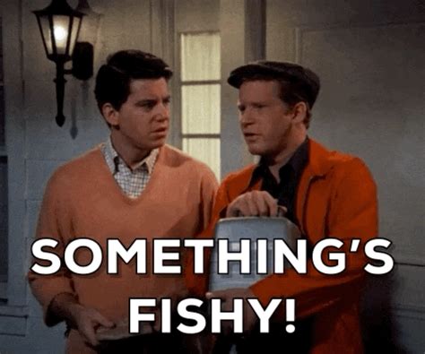 Something-fishy GIFs - Get the best GIF on GIPHY