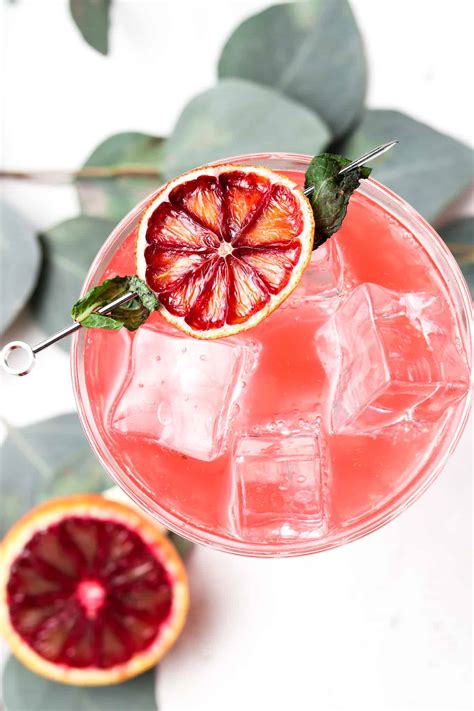 Blood Orange Mojito Mocktail Alliannas Kitchen