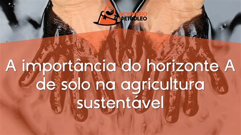 A importância do horizonte A de solo na agricultura sustentável