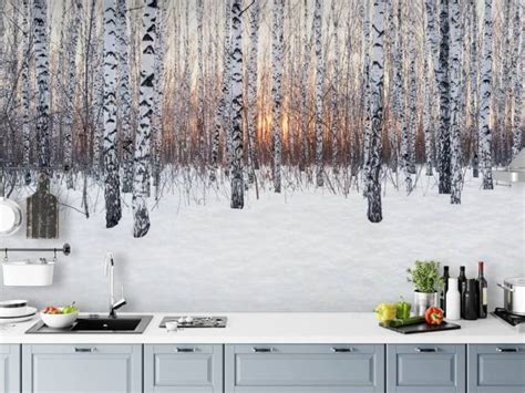 Birch Tree Wallpaper Wall Murals Wallsauce UK