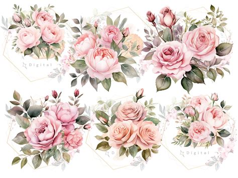 Watercolor Blush Rose Clipart Pink Rose Clipart Pink Rose Png