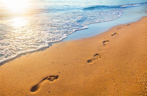 Beach Wave And Footprints At Sunset Time Stock Photo Download Image