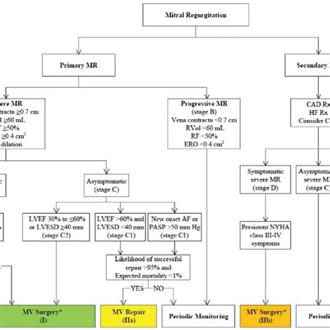 Pdf Primary Mitral Valve Regurgitation Update And Review