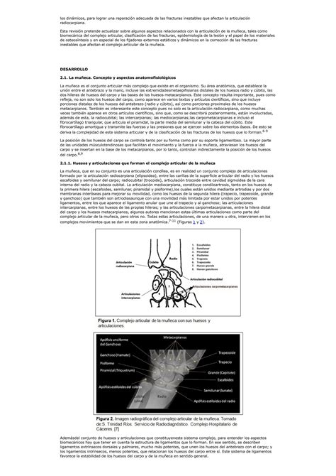 Solution El Complejo Articular De La Mu Eca Aspectos Anatofisiol Gicos